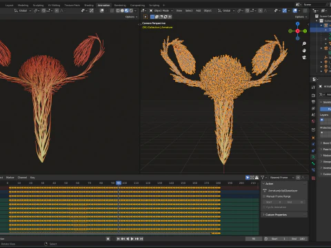 Human Uterus Reproductive Female System made out of lines Unrolling growing animation 3D Model