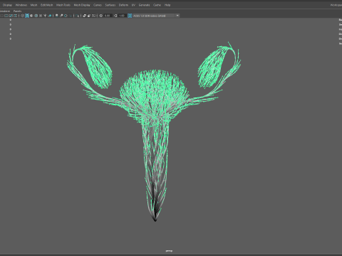 Human Uterus Reproductive Female System made out of lines Unrolling growing animation 3Dモデル