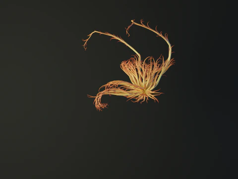 Human Tescticles Reproductive Male System made out of lines Unrolling growing animation 3D Model