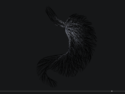 Human stomach made out of lines Unrolling growing animation 3Dモデル