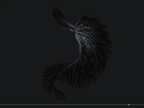 線でできた人間のお腹 展開アニメーション 3Dモデル