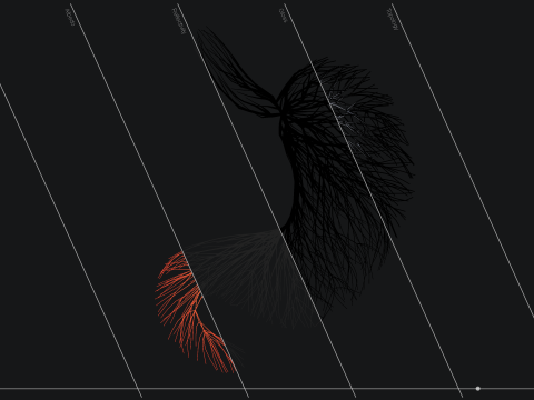 Human stomach made out of lines Unrolling growing animation 3Dモデル