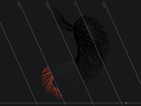 線でできた人間のお腹 展開アニメーション 3Dモデル