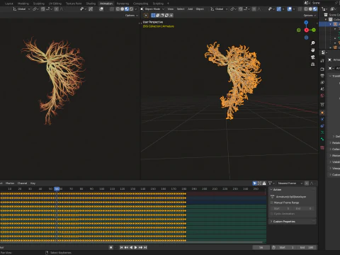 線でできた人間のお腹 展開アニメーション 3Dモデル