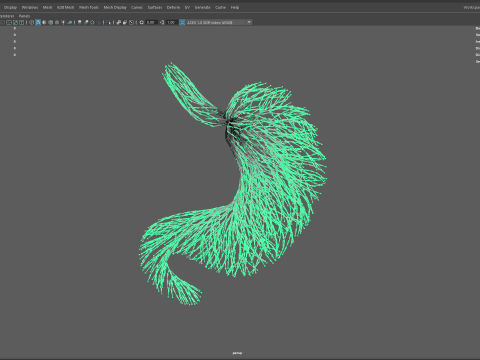 Human stomach made out of lines Unrolling growing animation 3Dモデル