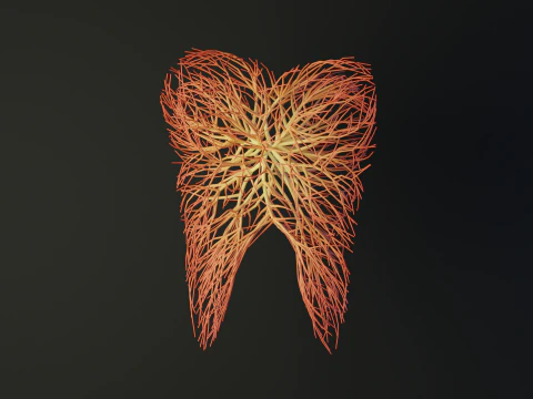 Dente humano feito de linhas, desenrolando uma animação crescente Modelo 3D
