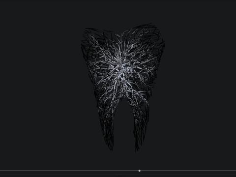 Human tooth made out of lines Unrolling growing animation 3Dモデル