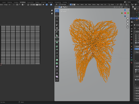 Human tooth made out of lines Unrolling growing animation 3Dモデル