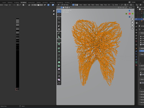 Human tooth made out of lines Unrolling growing animation 3Dモデル