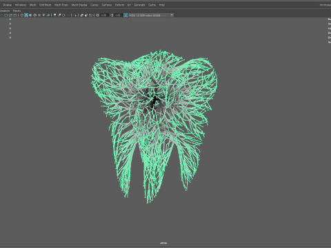 Human tooth made out of lines Unrolling growing animation 3Dモデル