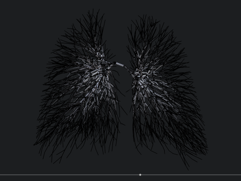 Human lungs made out of lines Unrolling growing animation 3D Model