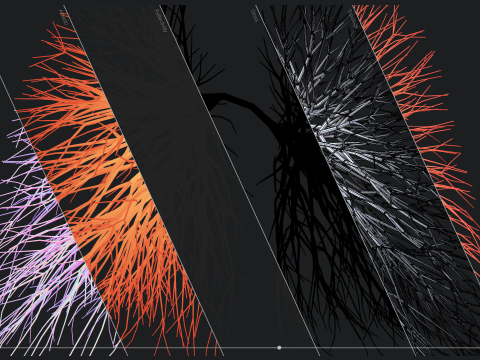 Human lungs made out of lines Unrolling growing animation 3D Model