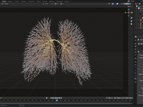 Human lungs made out of lines Unrolling growing animation 3D Model