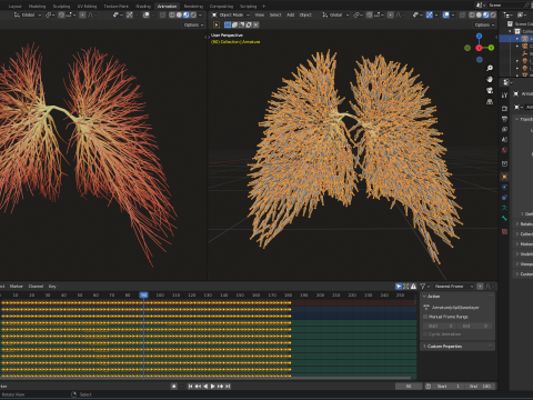 Human lungs made out of lines Unrolling growing animation 3D Model