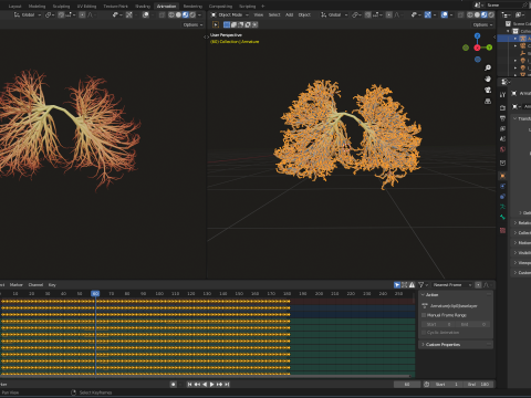 Human lungs made out of lines Unrolling growing animation 3D Model