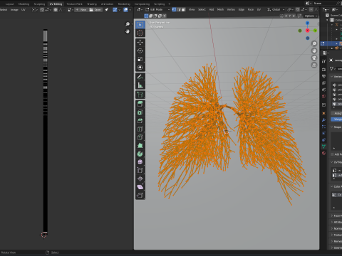 Human lungs made out of lines Unrolling growing animation 3D Model