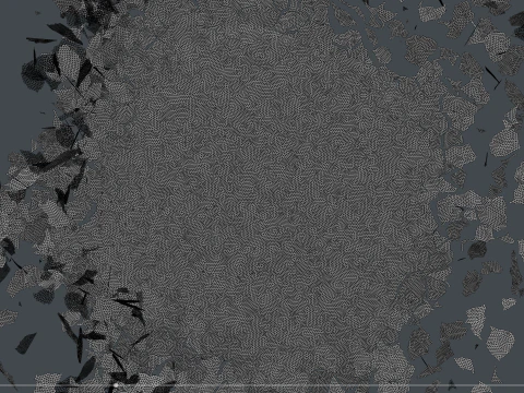 Peeling transition animation 2 3D Model