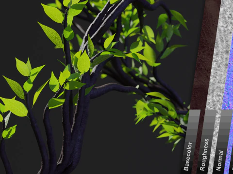 Boom in de vorm van een DNA-keten 3D Model