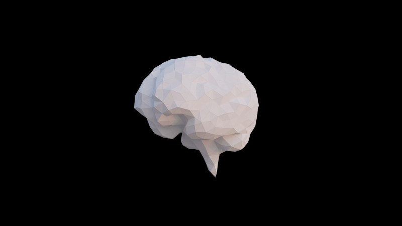Origami human brain unfolding growing animation 3D Model .c4d .max .obj .3ds .fbx .stl .blend