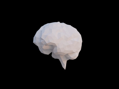 Origami human brain unfolding growing animation 3D Model