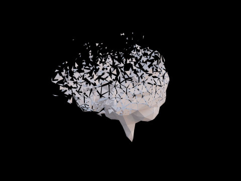 Origami human brain unfolding growing animation 3D Model
