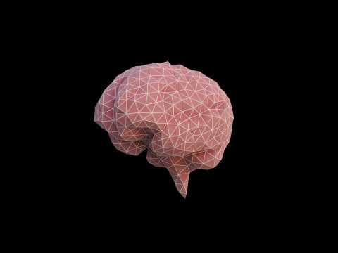 Origami human brain unfolding growing animation 3D Model