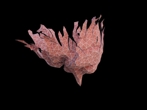 Origami human brain unfolding growing animation 3D Model