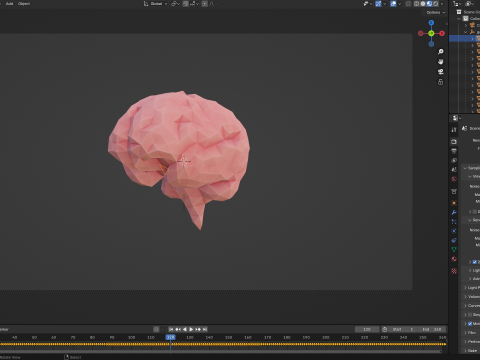 Origami human brain unfolding growing animation 3D Model