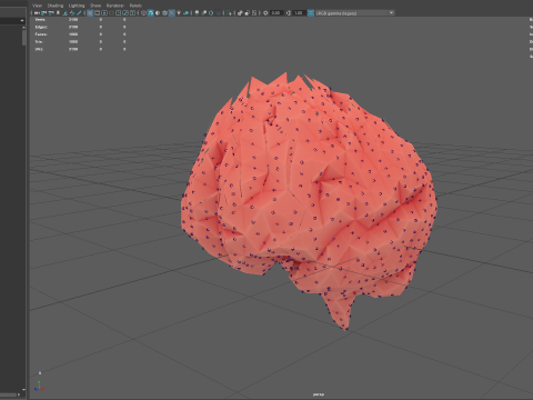 Origami human brain unfolding growing animation 3D Model