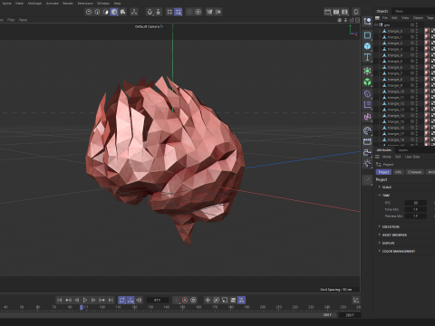 Origami human brain unfolding growing animation 3D Model