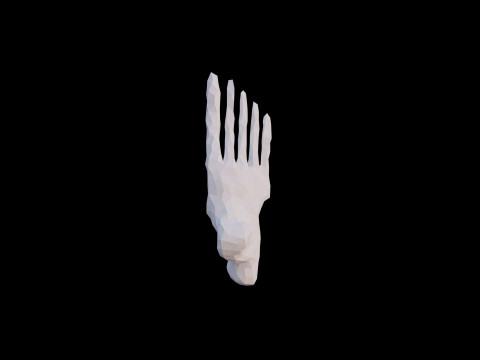 Origami human feet unfolding growing animation 3D Model