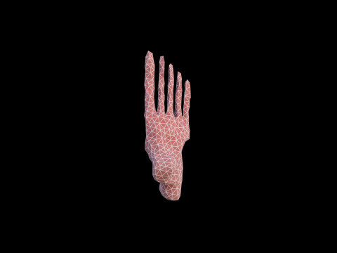 Origami human feet unfolding growing animation 3D Модель