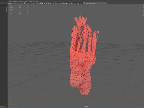 折り紙の人間の足が展開する成長アニメーション 3Dモデル