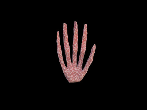Origami human hand unfolding growing animation 3D 模型