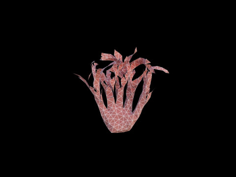 Origami human hand unfolding growing animation 3D 模型