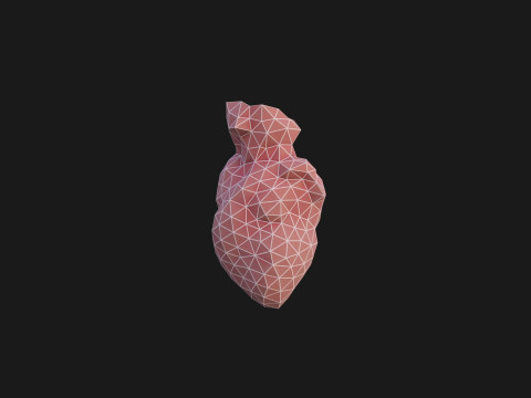 Origami human heart unfolding growing animation 3D मॉडल
