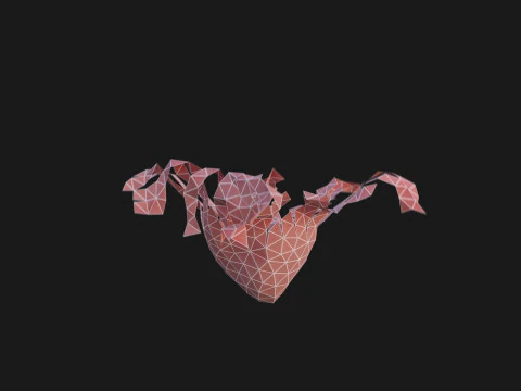 Origami human heart unfolding growing animation 3D Model