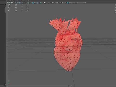 Origami human heart unfolding growing animation 3D Model