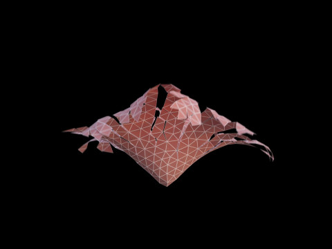 Origami heart unfolding growing animation 3D Model