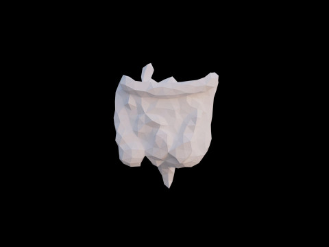 Origami human intestines unfolding growing animation 3Dモデル