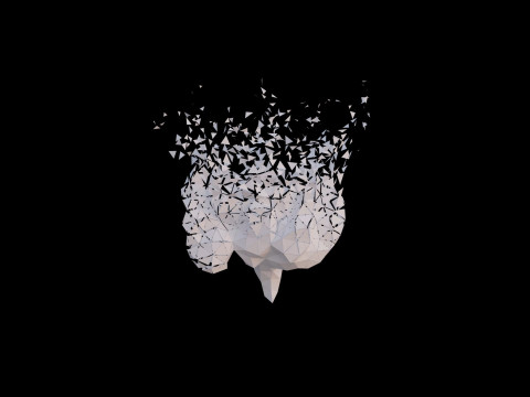 Origami human intestines unfolding growing animation 3D Model