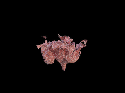 Origami human intestines unfolding growing animation 3D Model