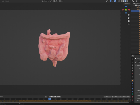 Origami human intestines unfolding growing animation 3D Model