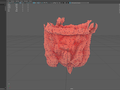 Origami human intestines unfolding growing animation 3D Model