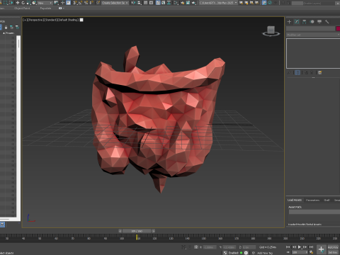 Origami human intestines unfolding growing animation 3D Model