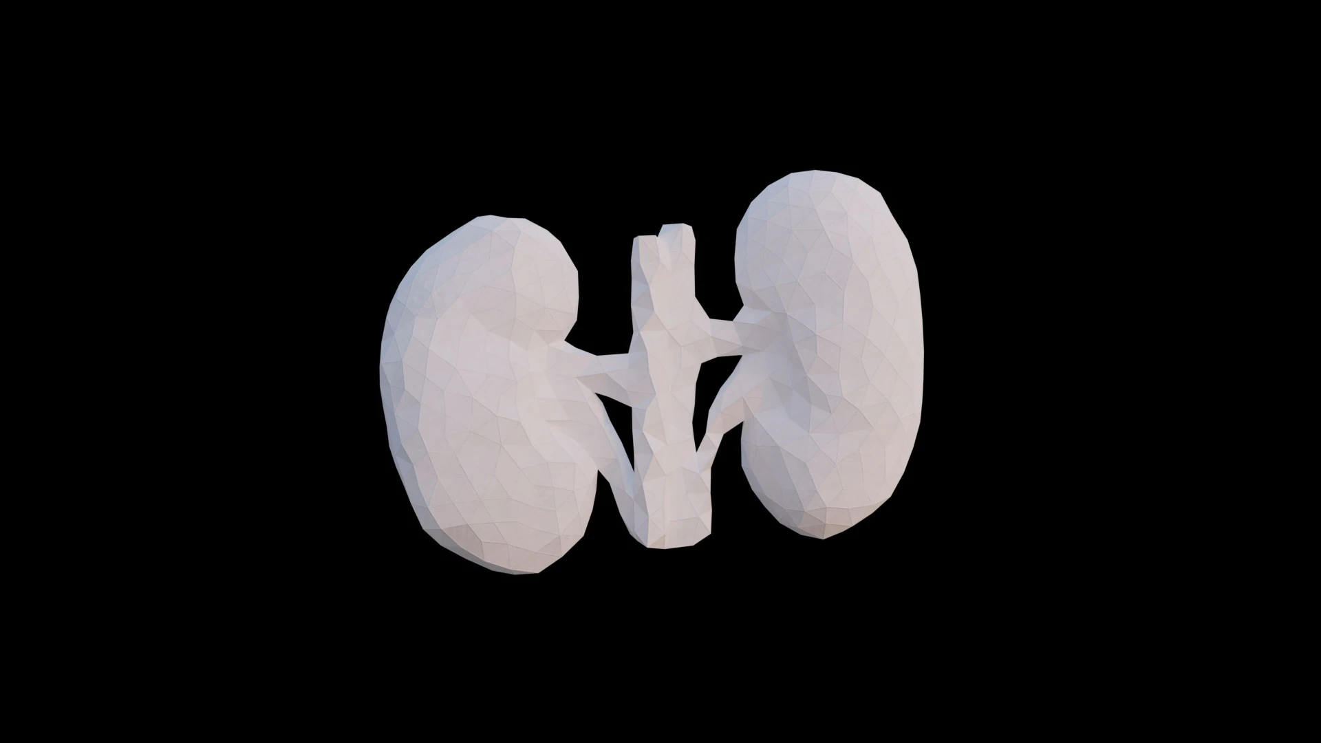 Origami human kidney unfolding growing animation 3D Model .c4d .max .obj .3ds .fbx .stl .blend