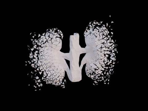 Origami human kidney unfolding growing animation 3D-Modell