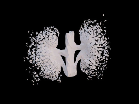 Origami human kidney unfolding growing animation 3D Model