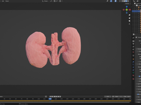 Origami human kidney unfolding growing animation 3D-Modell