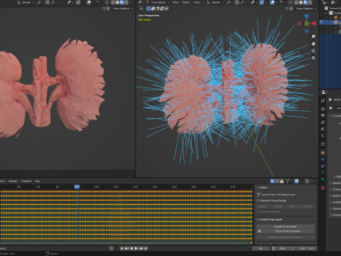 Origami human kidney unfolding growing animation 3D-Modell